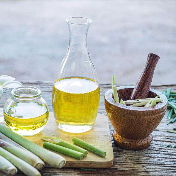 Acqua Garden Herbs & Spices Lemongrass