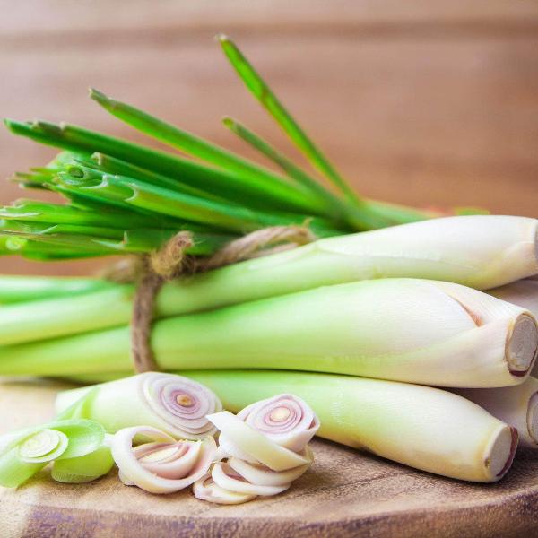 Acqua Garden Herbs & Spices Lemongrass