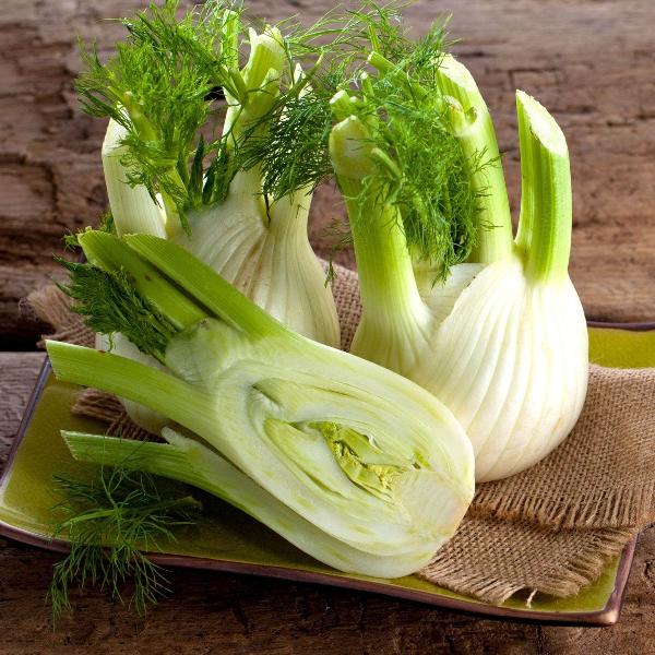 Acqua Garden Outdoor Plants Fennel