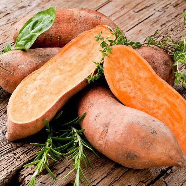 Acqua Garden Outdoor Plants Sweet Potato 'Erato Deep Orange'