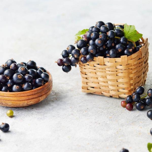 Acqua Garden Plants Blackcurrant