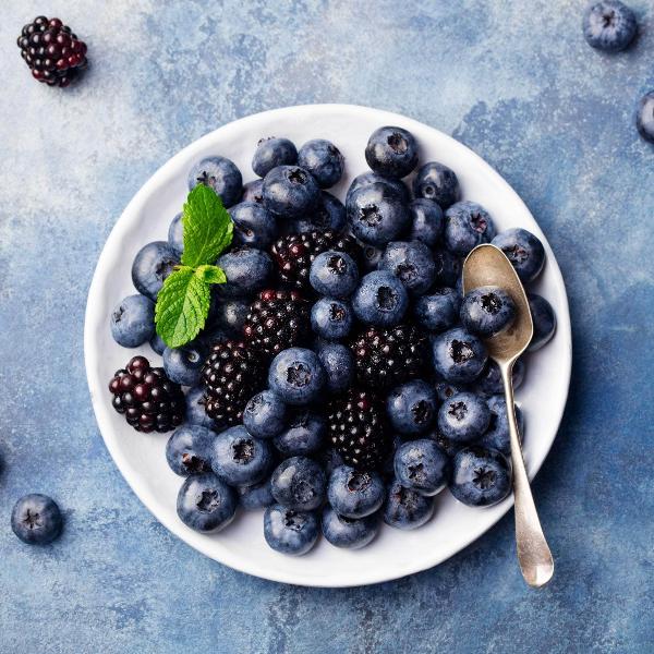 Acqua Garden Plants Blueberry 'Bluegold'