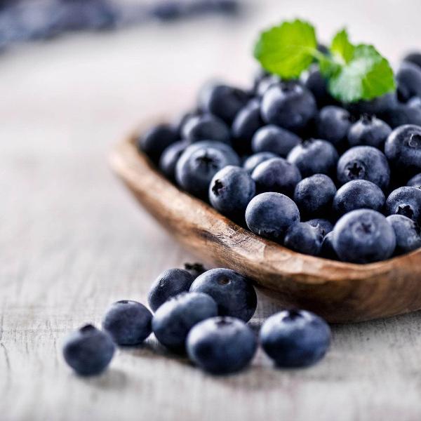 Acqua Garden Plants Blueberry 'Bluegold'