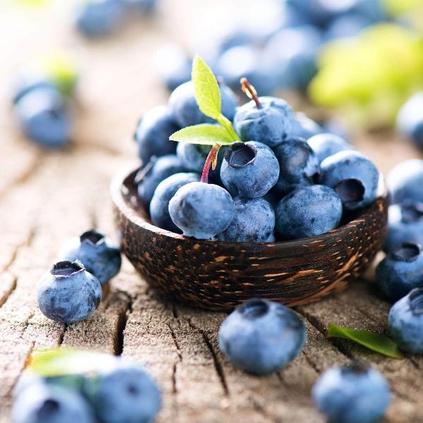 Acqua Garden Plants Blueberry 'Chandler'
