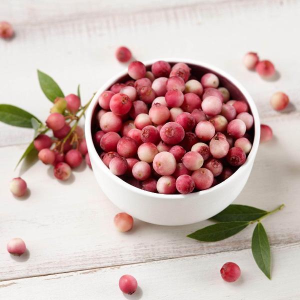 Acqua Garden Plants Blueberry 'Pink Lemonade'