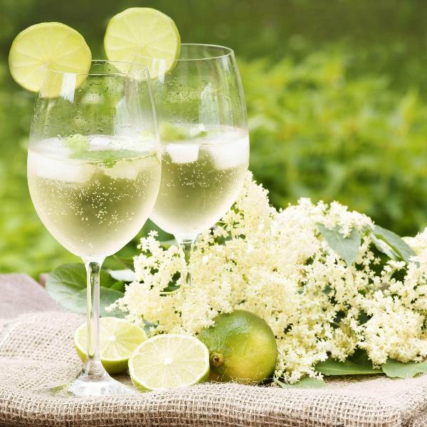 Acqua Garden Plants Elderflower