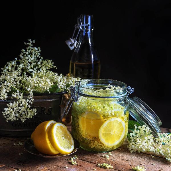 Acqua Garden Plants Elderflower