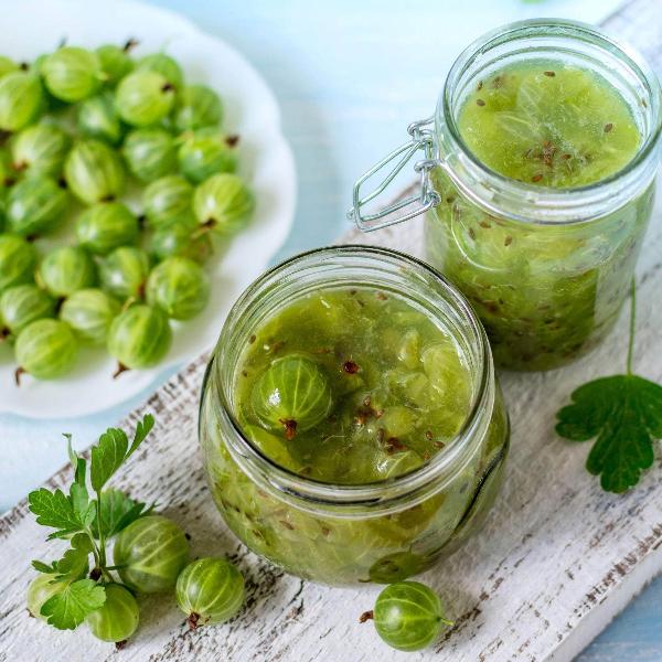 Acqua Garden Plants Gooseberry 'Yellow'
