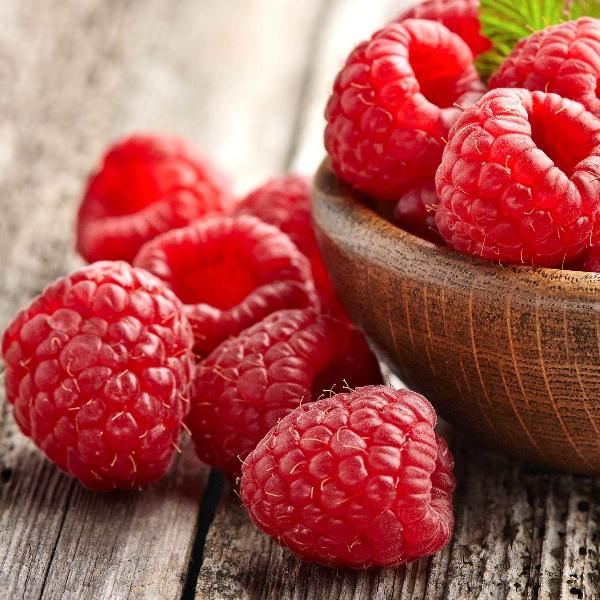 Acqua Garden Plants Raspberry 'Malling Admiral'