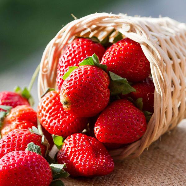 Acqua Garden Plants Strawberry