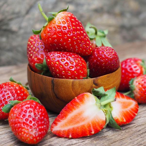 Acqua Garden Plants Strawberry 'Cambridge Favourite'