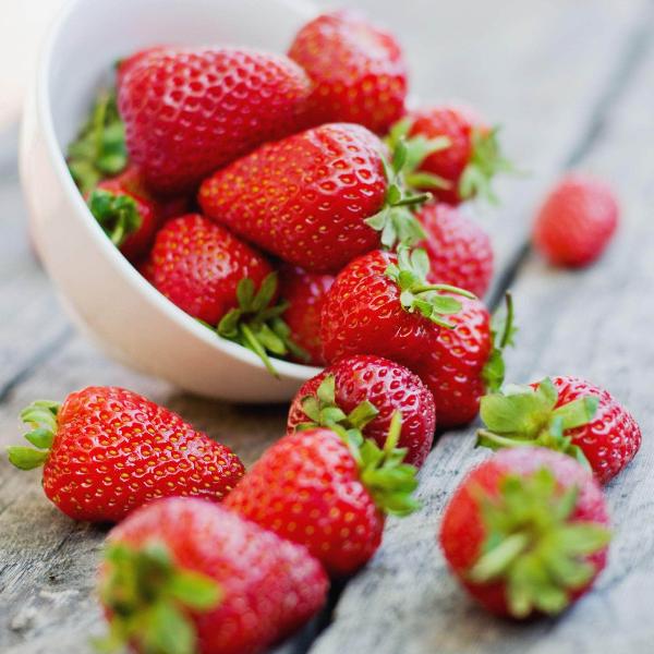 Acqua Garden Plants Strawberry 'Loran'