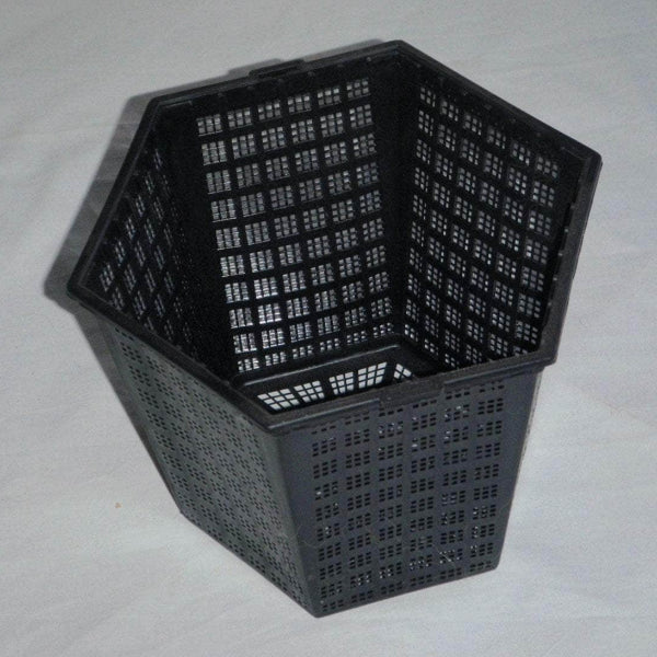 Acqua Garden Pot 18 x 18cm Hexagonal