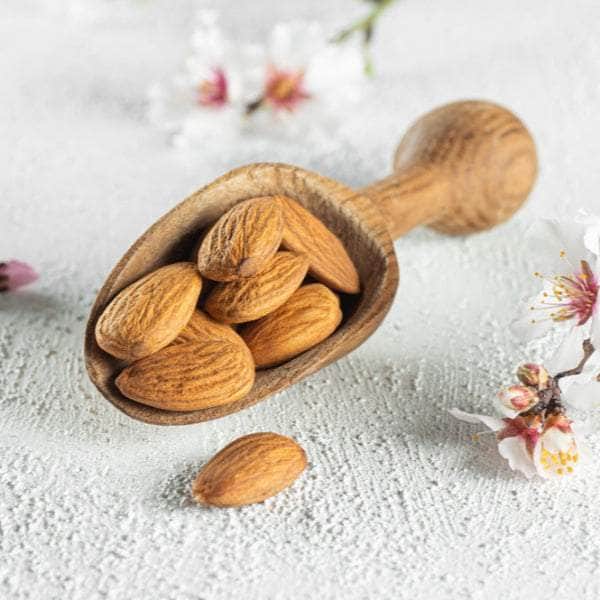 Acqua Garden Trees Almond Tree
