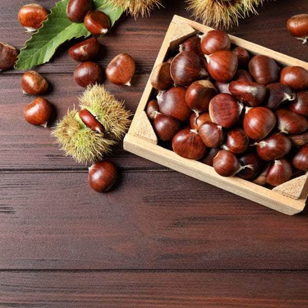 Acqua Garden Trees Conker Tree