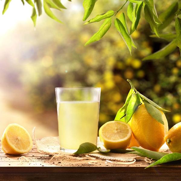 Acqua Garden Trees 1 x 40 Litre Pot Lemon Tree