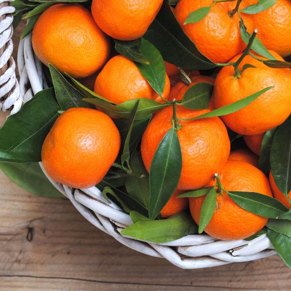 Mandarin Tree – AcquaGarden
