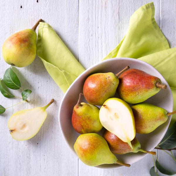 Acqua Garden Trees Pear Tree