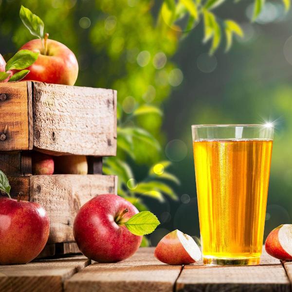 Cox's Orange Pippin Apple Tree Sweet, Aromatic UK Garden