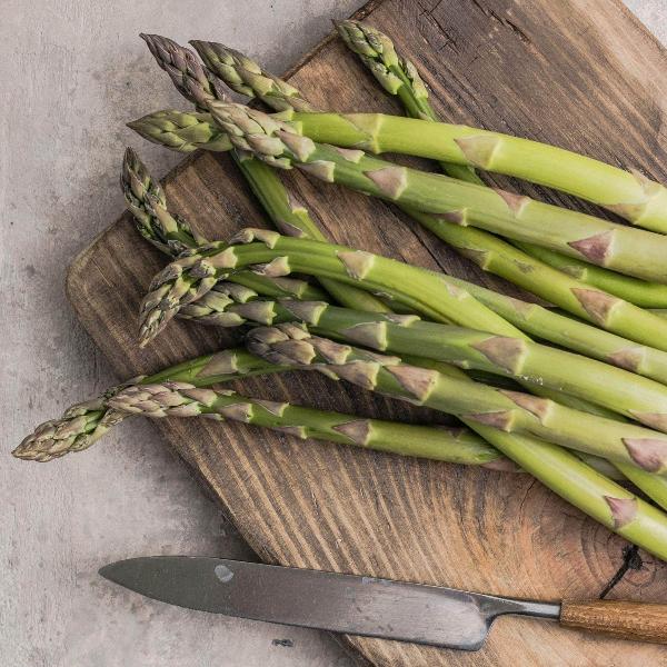 AcquaGarden Asparagus 'Ariane'