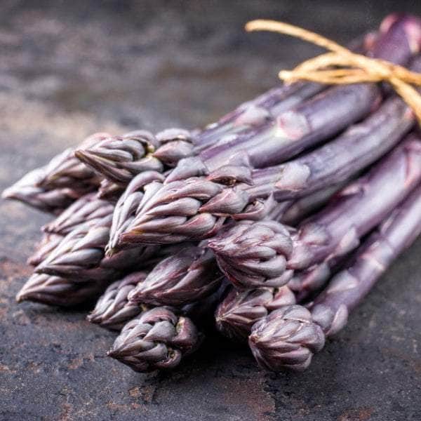 AcquaGarden Asparagus 'Erasmus'