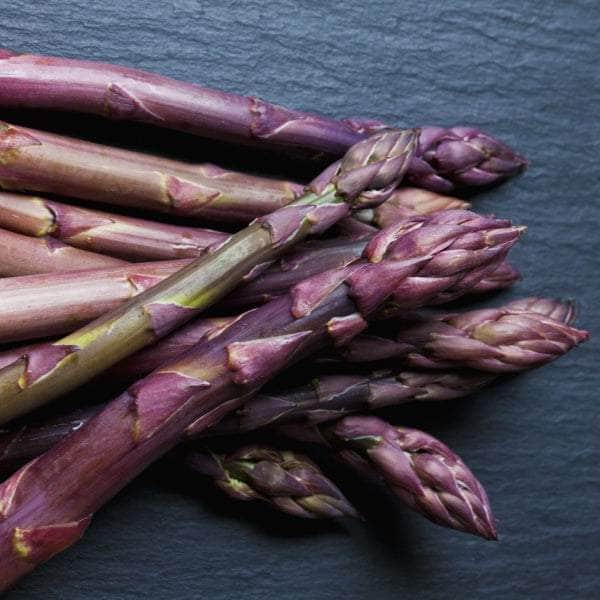 AcquaGarden Asparagus 'Erasmus'