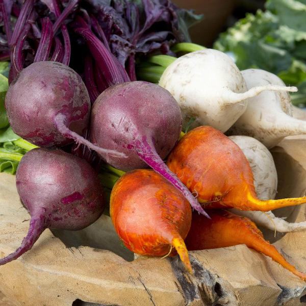 Beetroot 'Mixed Selection' – AcquaGarden