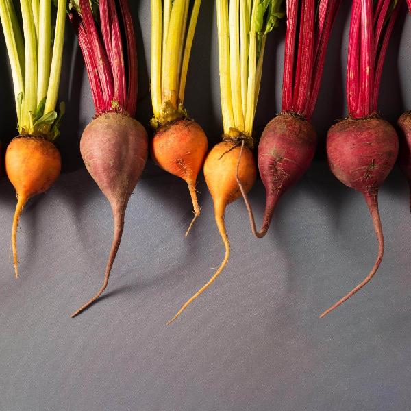 AcquaGarden Beetroot 'Mixed Selection'