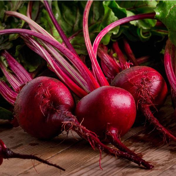 AcquaGarden Beetroot 'Pablo'