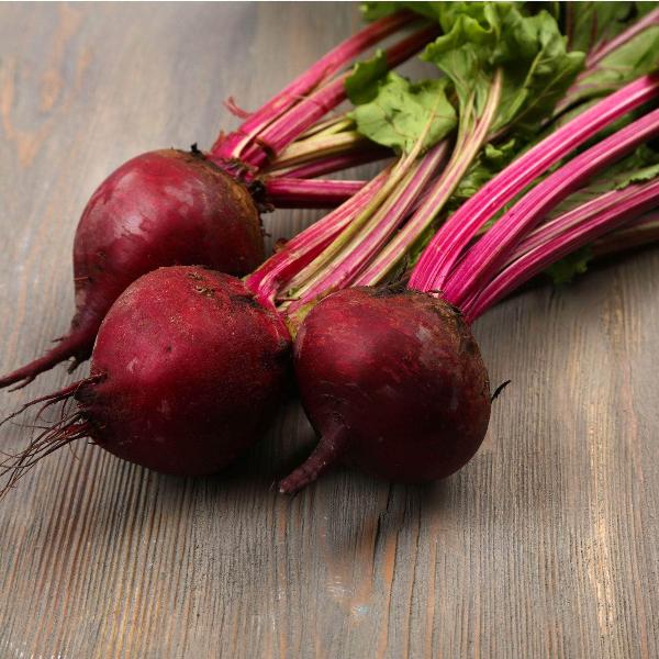 AcquaGarden Beetroot 'Pablo'