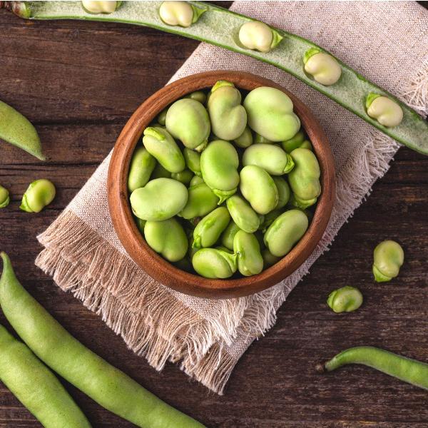 AcquaGarden Broad Beans 'Dreadnought'