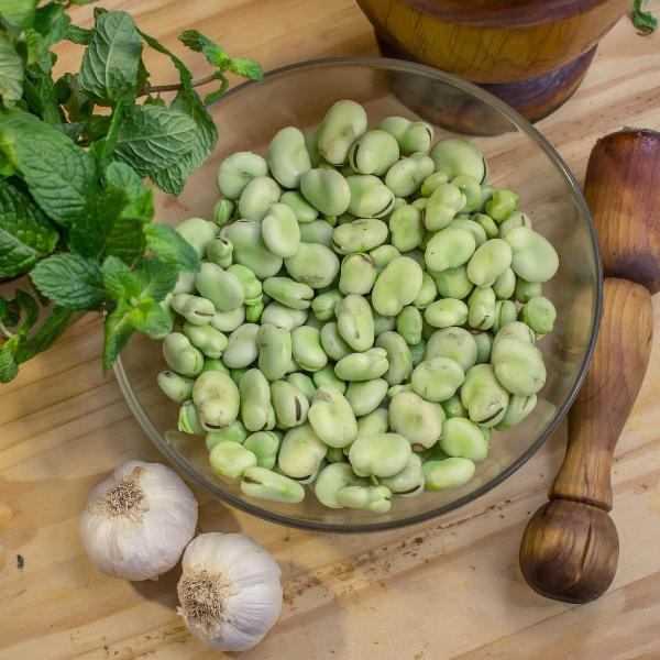 AcquaGarden Broad Beans 'Dreadnought'