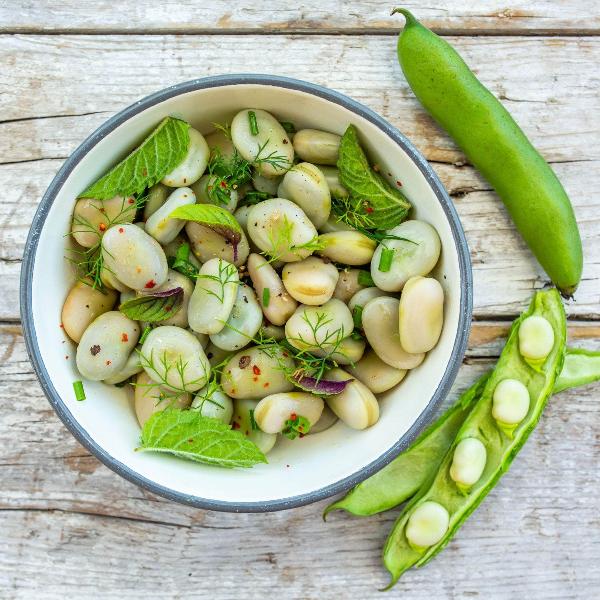AcquaGarden Broad Beans 'Dreadnought'