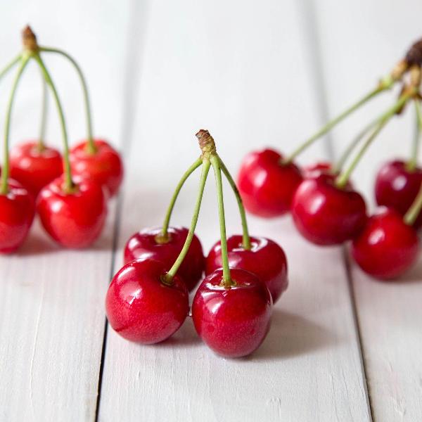 AcquaGarden Cherry 'Morello' Tree
