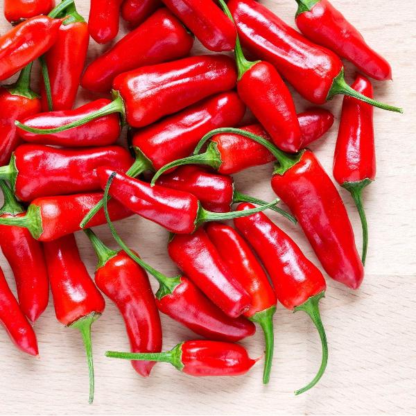 AcquaGarden Chilli 'Apache'