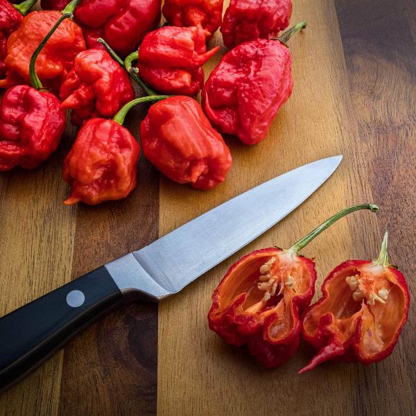 AcquaGarden Chilli 'Carolina Reaper'