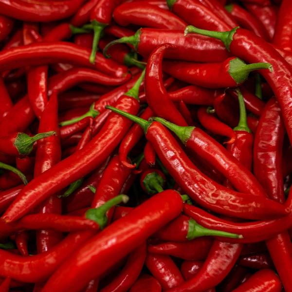 AcquaGarden Chilli 'Cayenne'