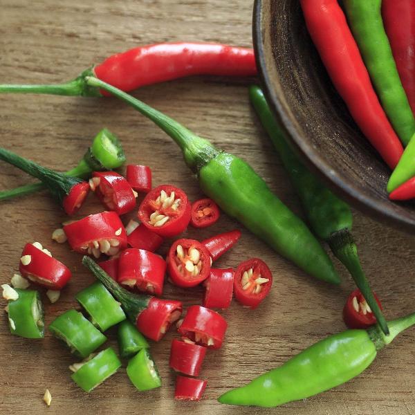 AcquaGarden Chilli 'Joker'