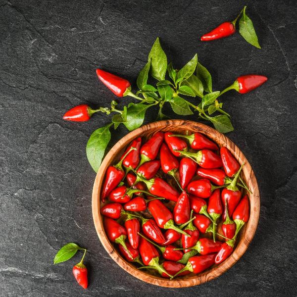 AcquaGarden Chilli 'Prairie Fire'