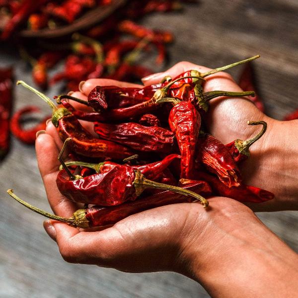 AcquaGarden Chilli 'Super Fresno'