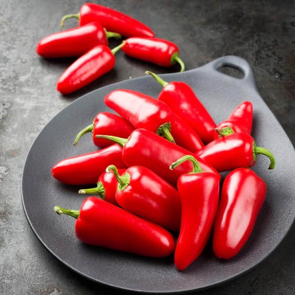 AcquaGarden Chilli 'Super Fresno'