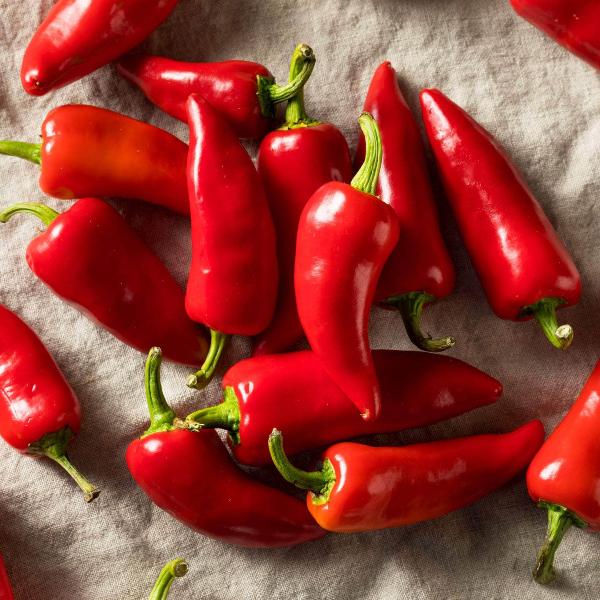 AcquaGarden Chilli 'Super Fresno'