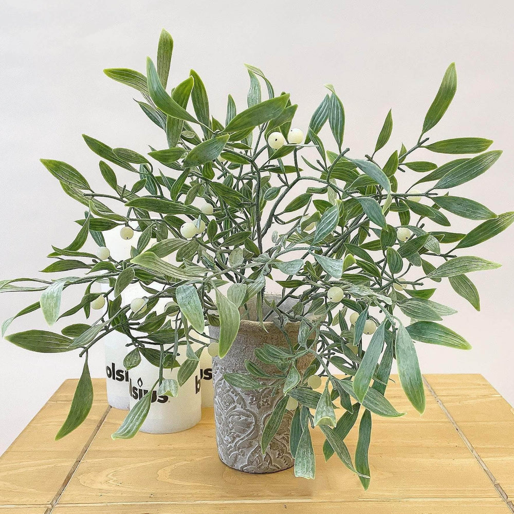 AcquaGarden Christmas Decoration Mistletoe Bush