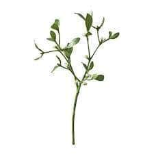 AcquaGarden Christmas Decorations Christmas Decoration Mistletoe Stem