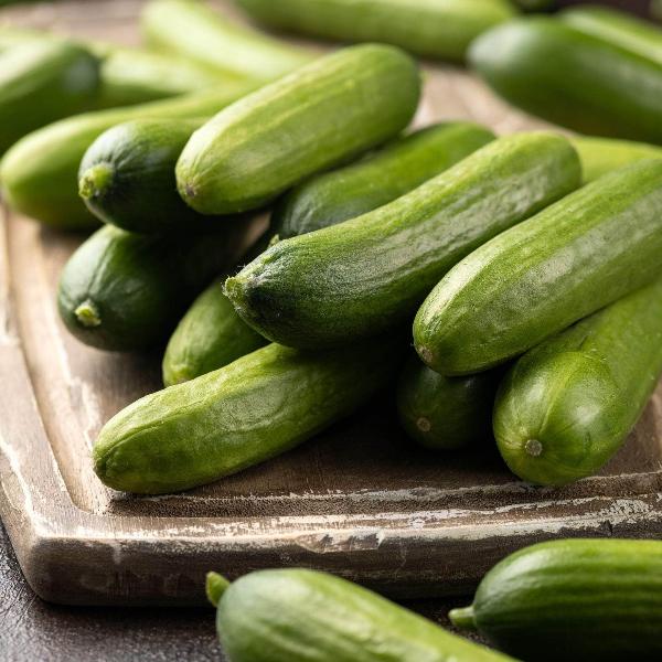 AcquaGarden Cucumber 'Mini Munch'