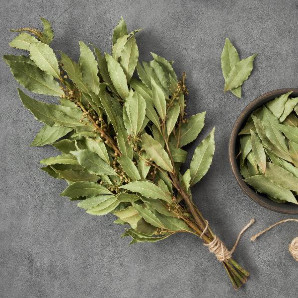 AcquaGarden Kitchen Bay Leaf