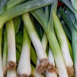 AcquaGarden Leeks 'Jolant' (Mid Cropping)