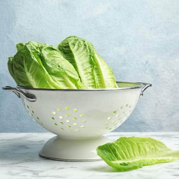 AcquaGarden Lettuce 'Cos’