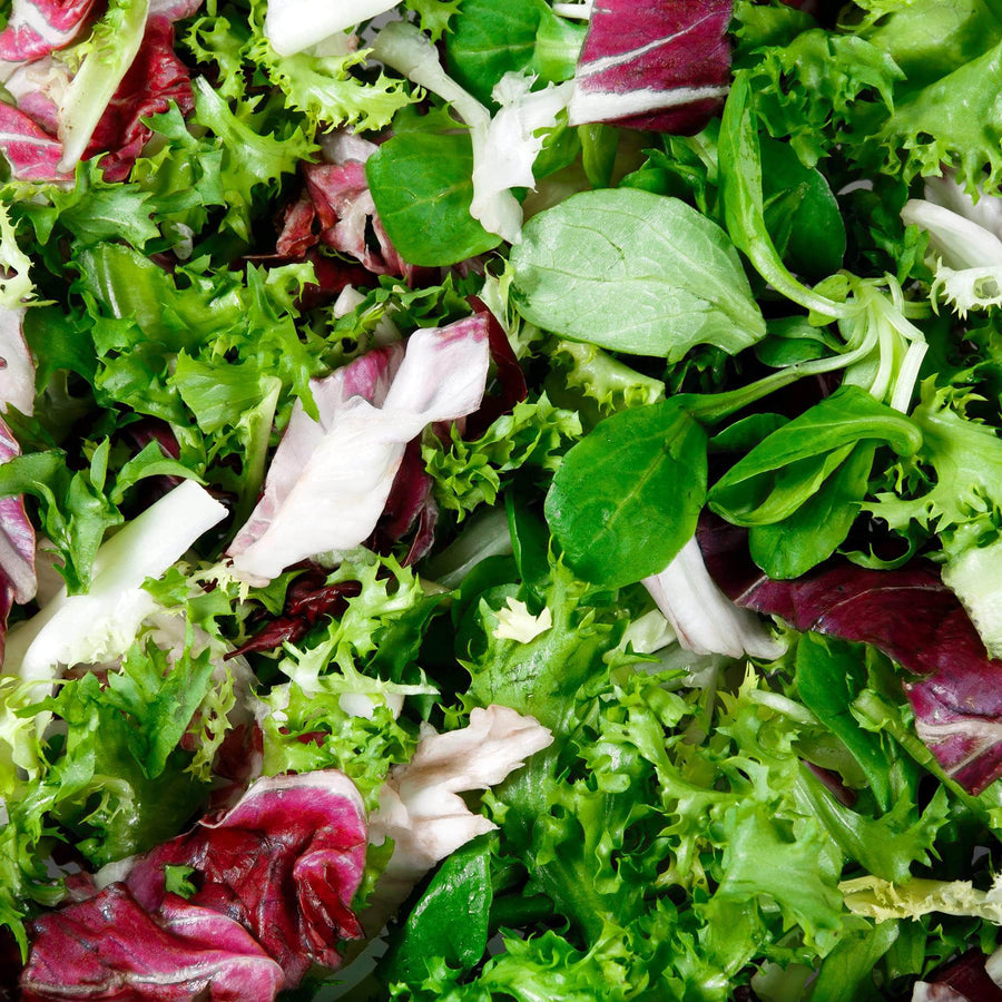 AcquaGarden Lettuce 'Crisp Mix’