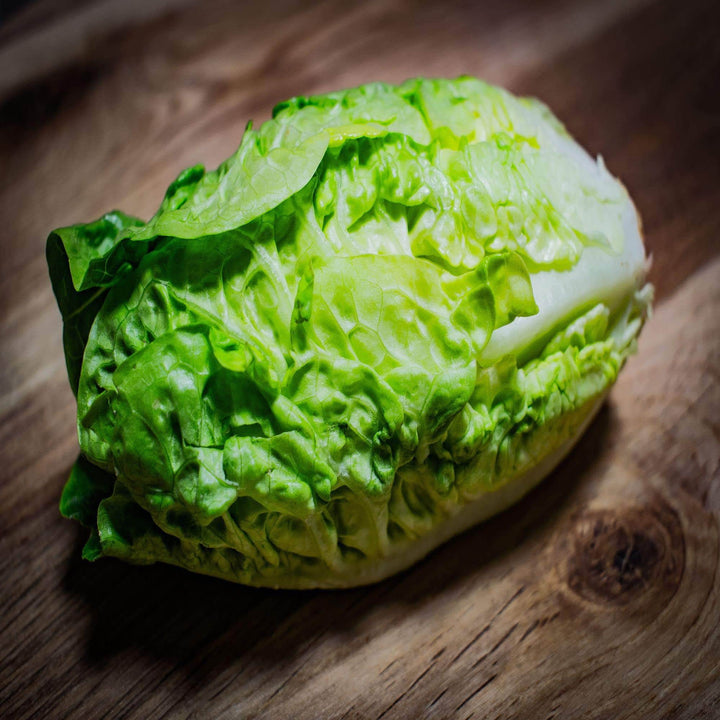 AcquaGarden Lettuce 'Little Gem'